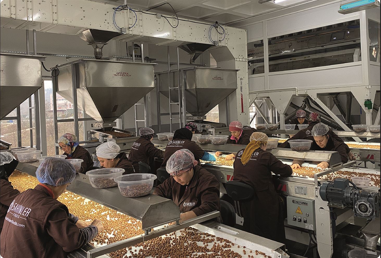 Fındık Kırma Makineleri - Akyürek Group Gıda Teknolojileri