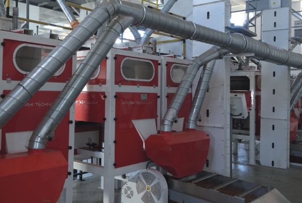 Fındık Kırma Tesisi Projeleri - Akyürek Group Gıda Teknolojileri